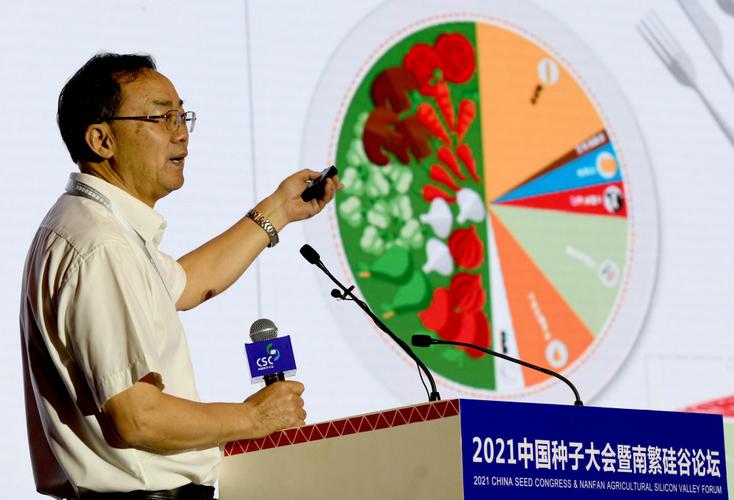 种业创新如何统筹兼顾 常规育种与生物育种协同发展路径